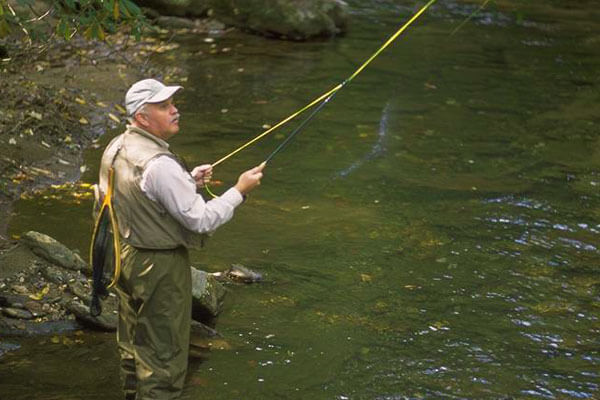 Brasstown Valley Packages And Specials The Anglers Package