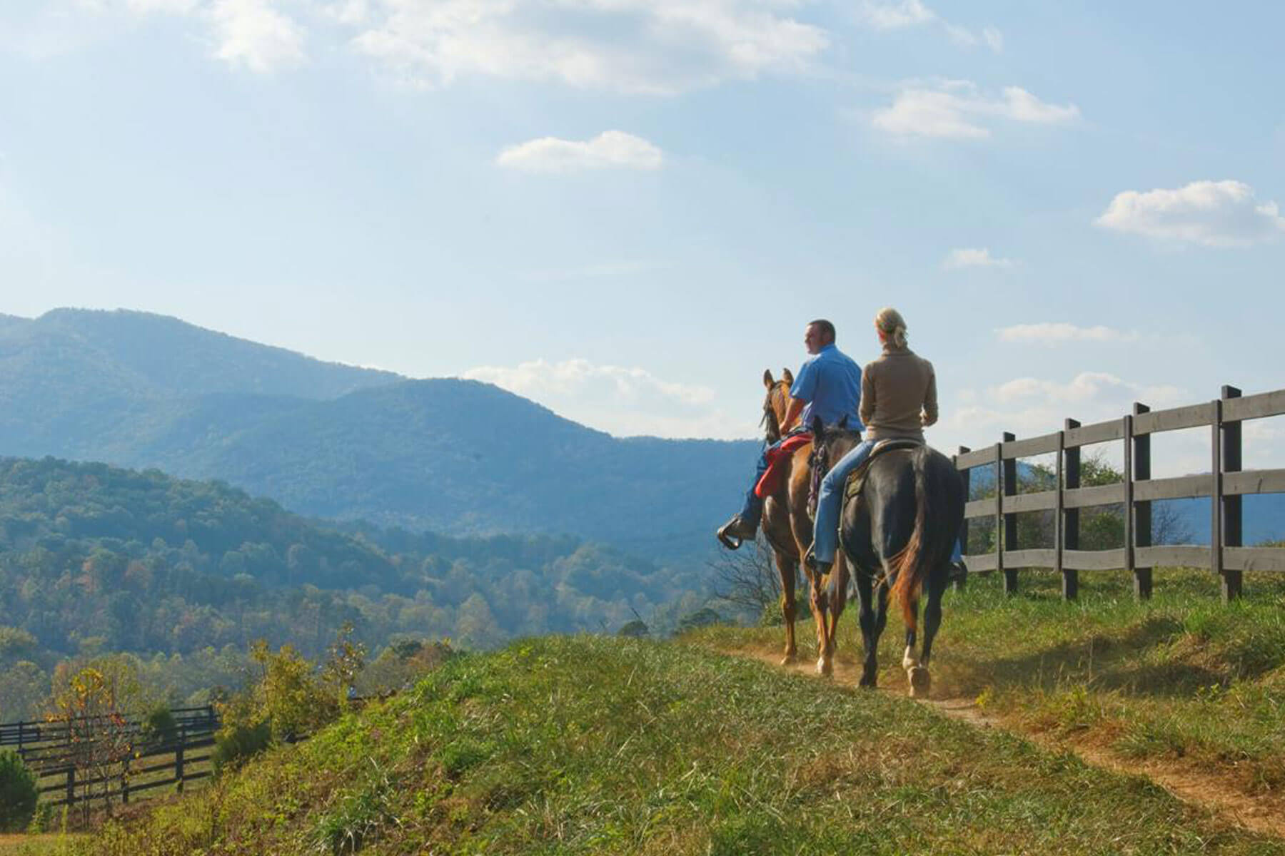 brasstown valley stables horseback riding mountains