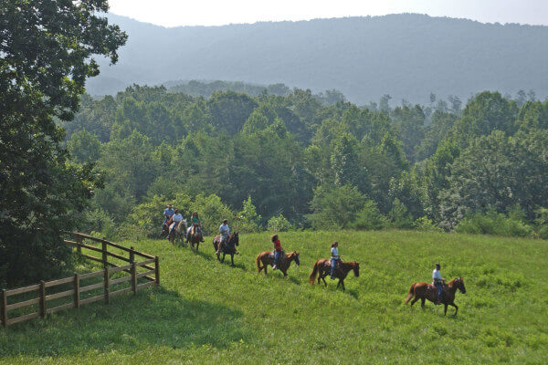 https://www.brasstownvalley.com/wp-content/uploads/2014/09/sbrasstown-valley-stables-horseback-riding-group.jpg